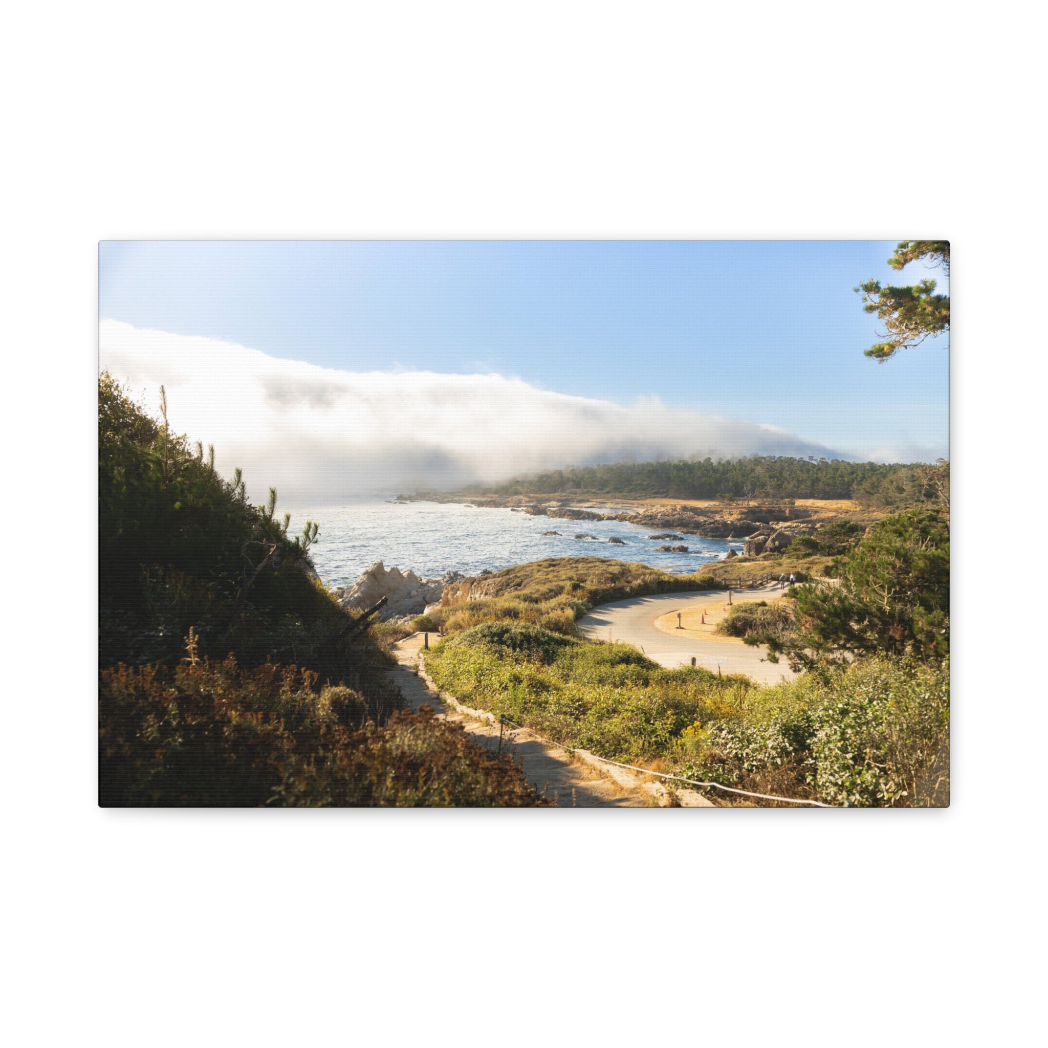 Coastal Mist Beach Landscape Canvas