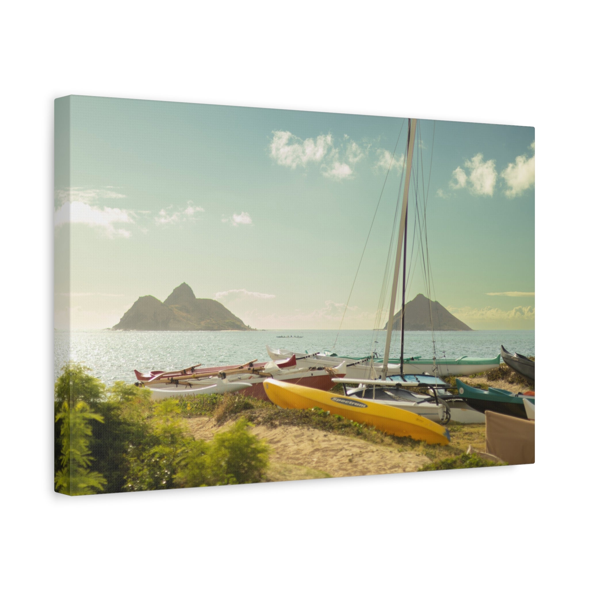 Hawaiian Beach Matte Canvas