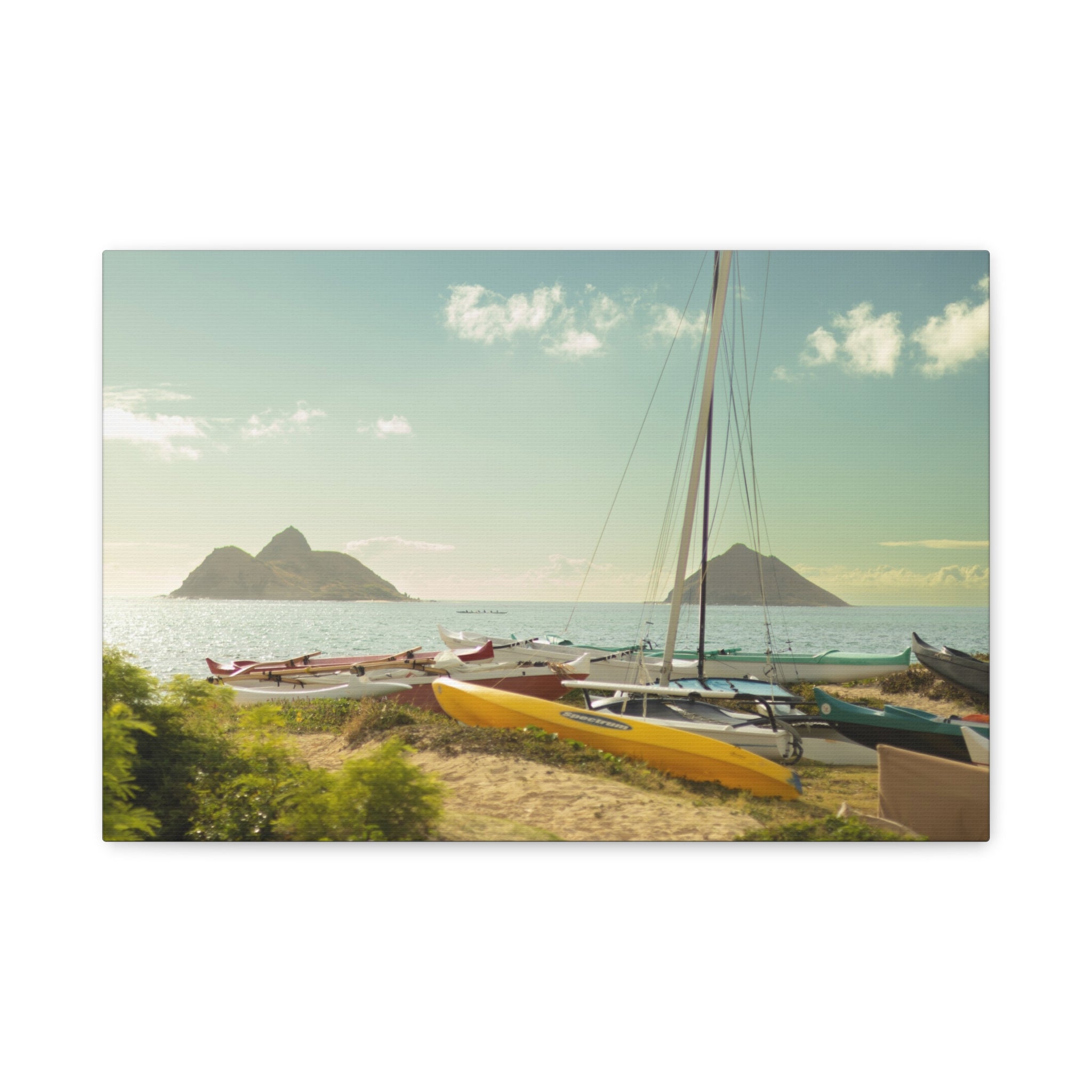 Hawaiian Beach Matte Canvas