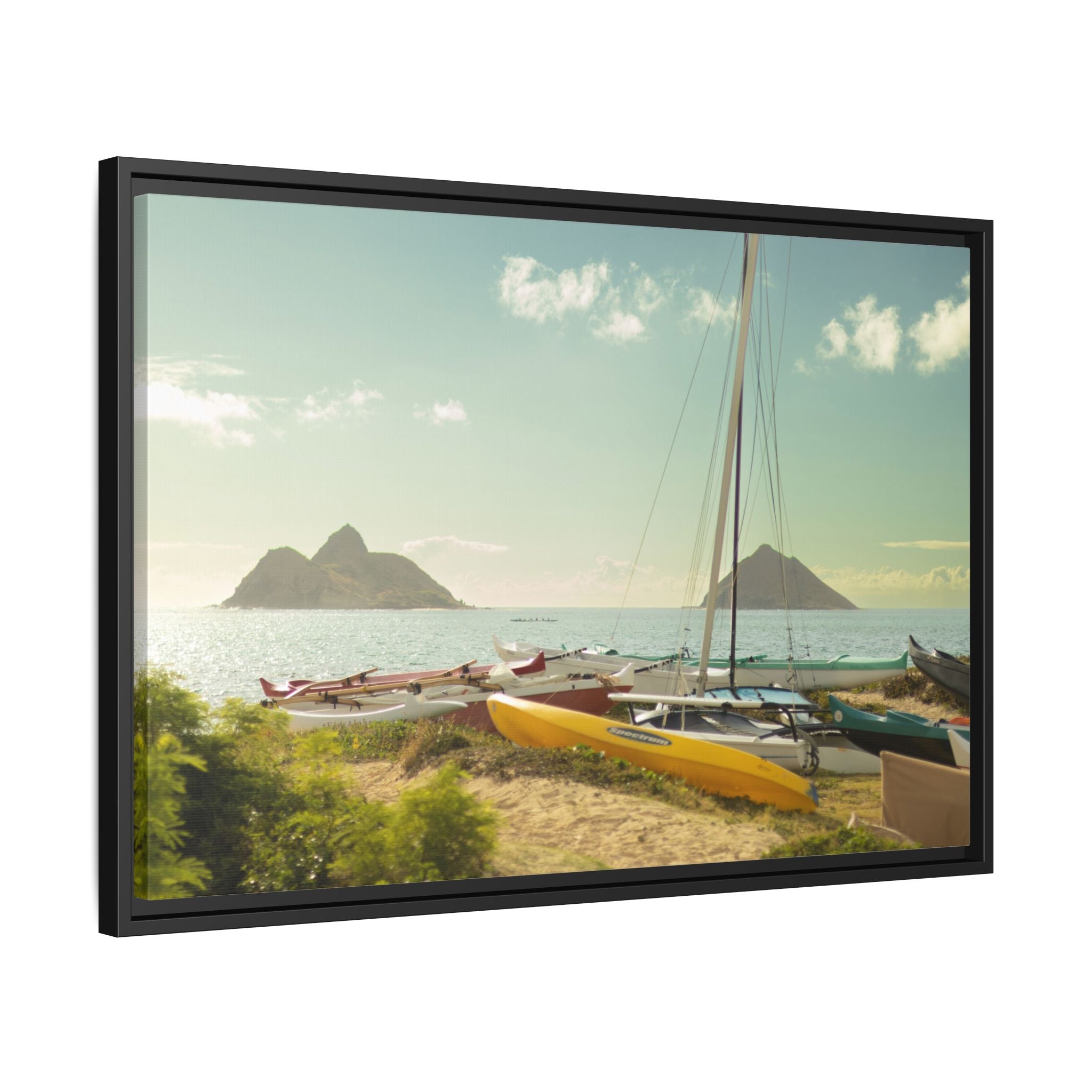 Hawaiian Beach Matte Canvas