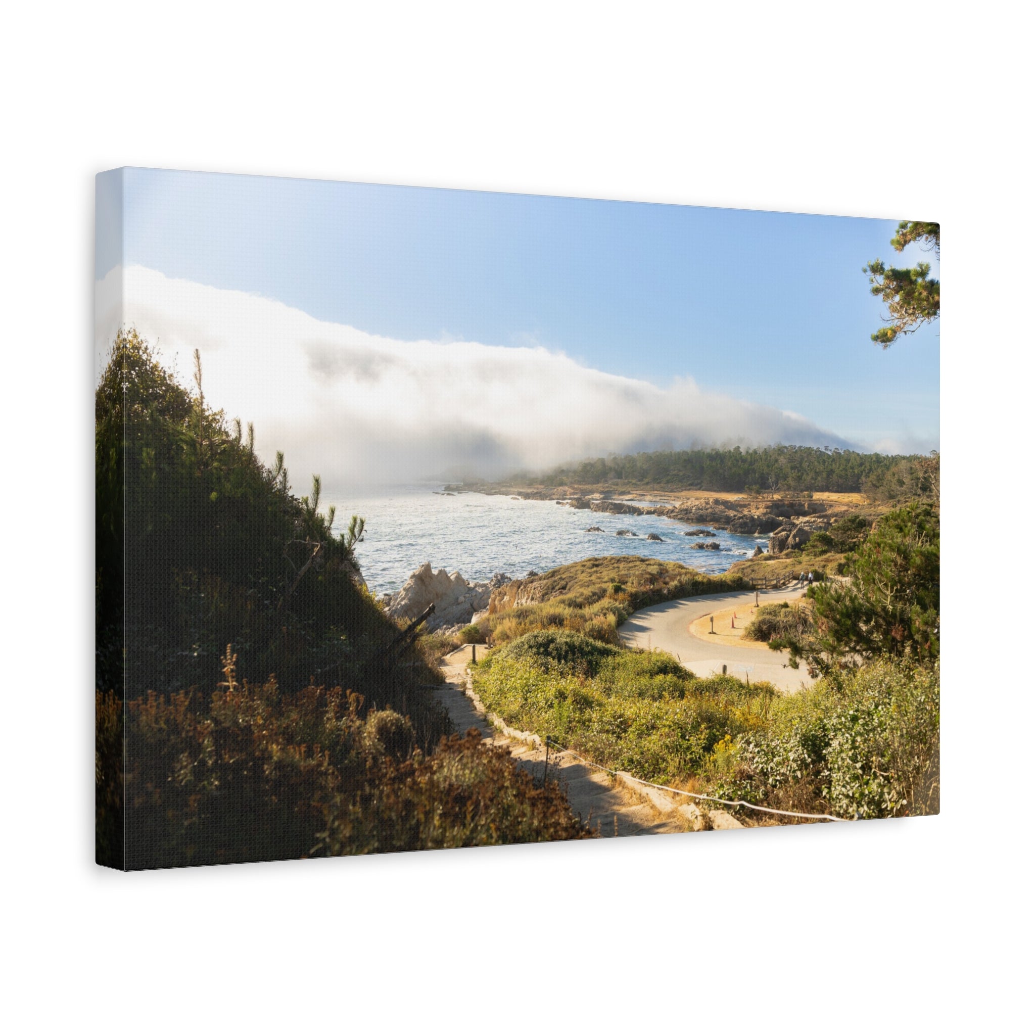Coastal Mist Beach Landscape Canvas